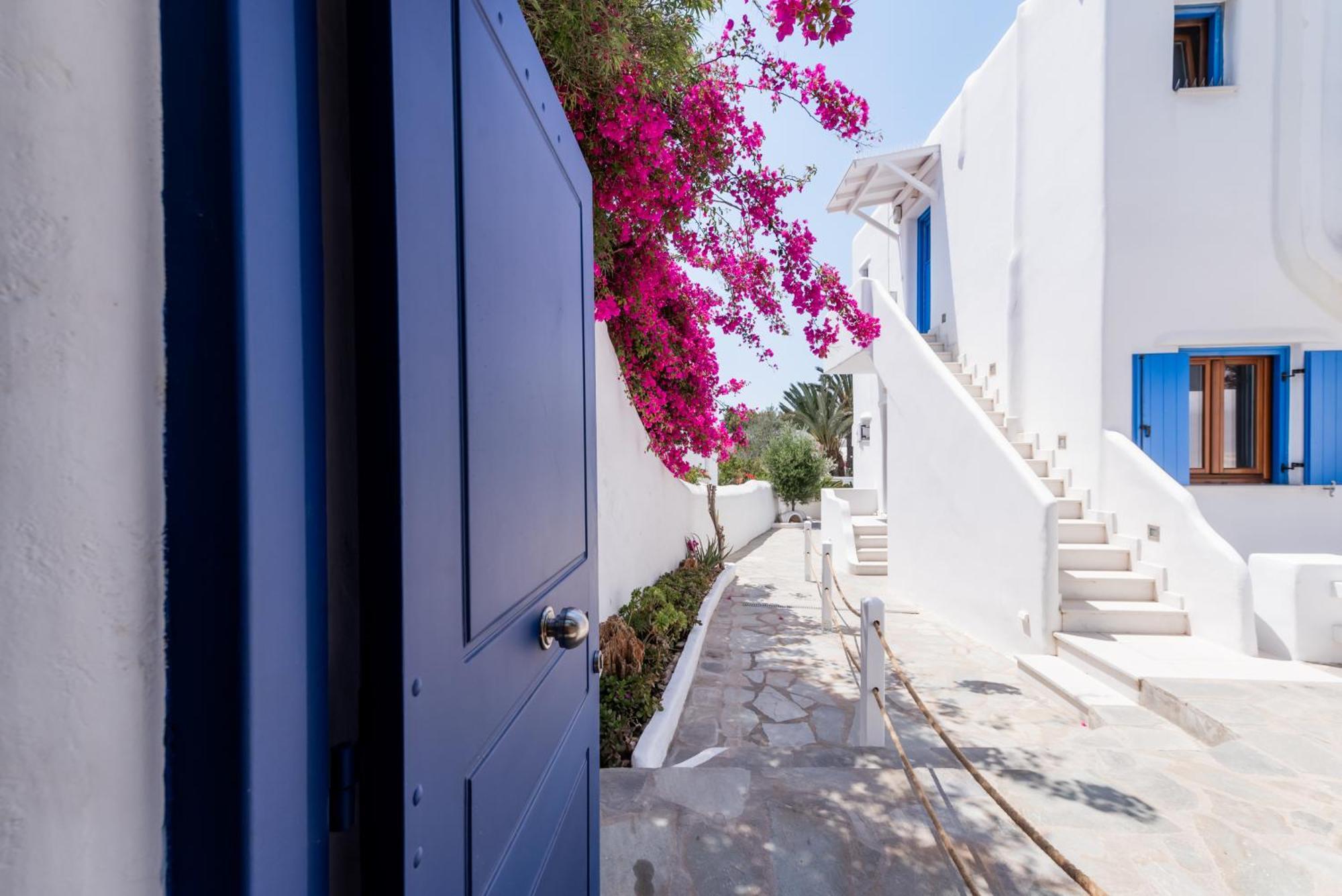 Olive Tree Mykonos Town Semi-Basement Apartment Exteriér fotografie