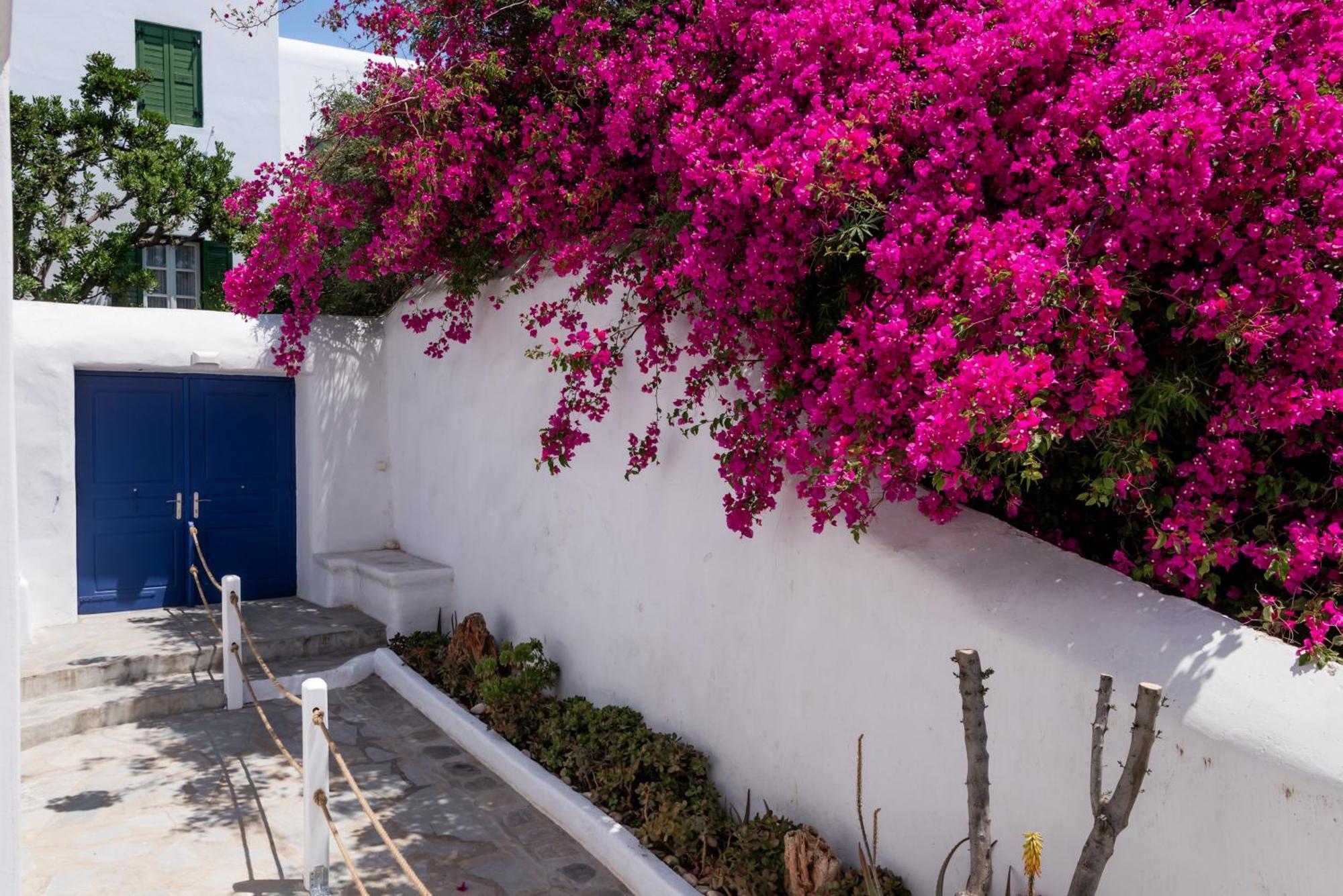 Olive Tree Mykonos Town Semi-Basement Apartment Exteriér fotografie
